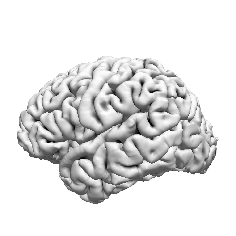 profile.png